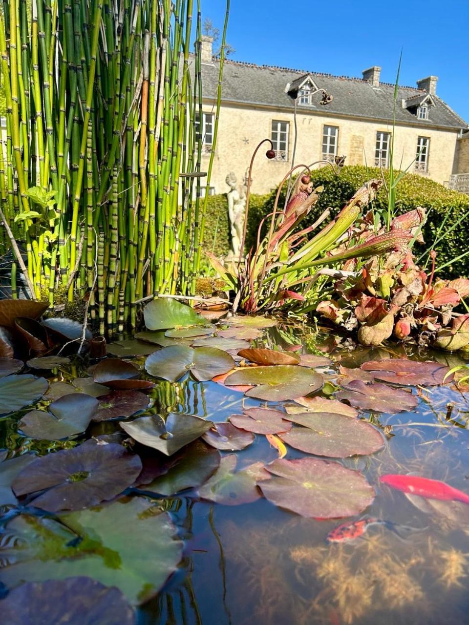 D'hotes Manoir Du Chene Frühstückspension *
